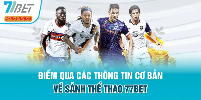 Điểm qua các thông tin cơ bản về sảnh thể thao 77Bet