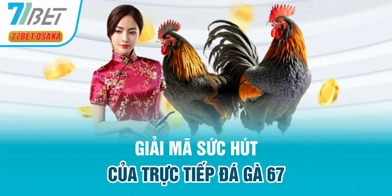 Giải mã sức hút của trực tiếp đá gà 67