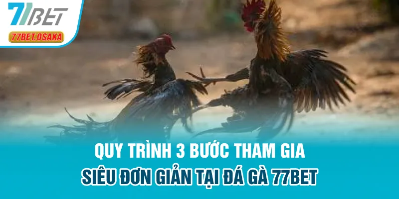Quy trình 3 bước tham gia siêu đơn giản tại đá gà 77Bet