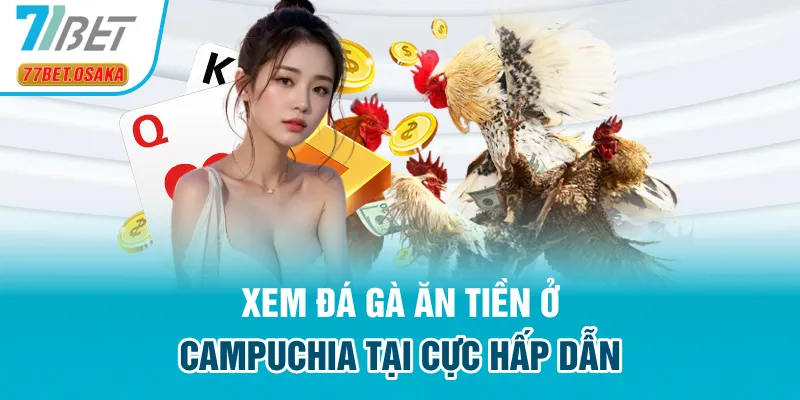 Xem đá gà ăn tiền ở Campuchia tại cực hấp dẫn